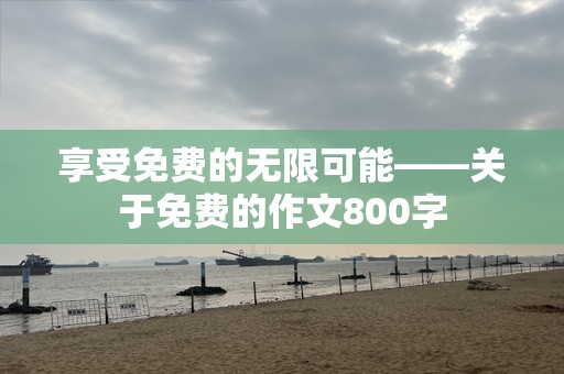 享受免费的无限可能——关于免费的作文800字