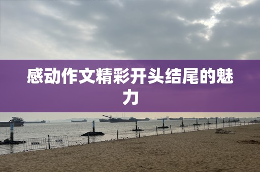 感动作文精彩开头结尾的魅力