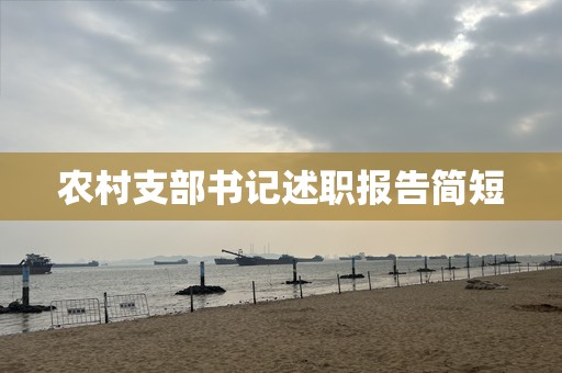 农村支部书记述职报告简短