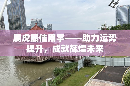 属虎最佳用字——助力运势提升，成就辉煌未来