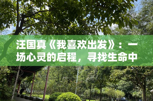 汪国真《我喜欢出发》：一场心灵的启程，寻找生命中的力量与诗意