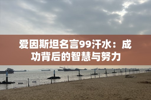 爱因斯坦名言99汗水：成功背后的智慧与努力