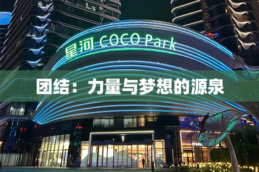 团结：力量与梦想的源泉