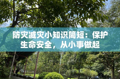 防灾减灾小知识简短：保护生命安全，从小事做起