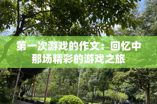 第一次游戏的作文：回忆中那场精彩的游戏之旅