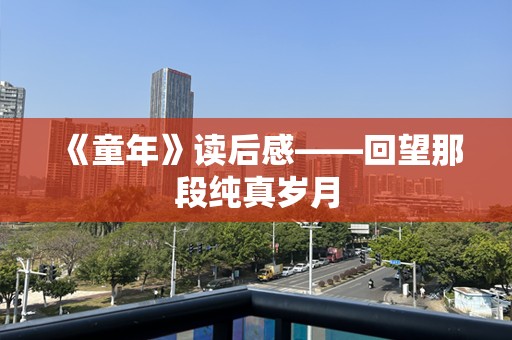 《童年》读后感——回望那段纯真岁月