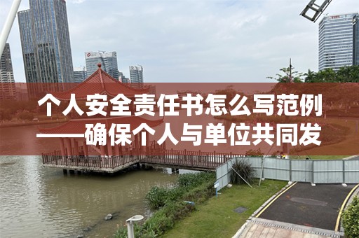个人安全责任书怎么写范例——确保个人与单位共同发展的安全保障