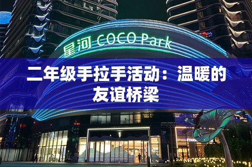 二年级手拉手活动：温暖的友谊桥梁