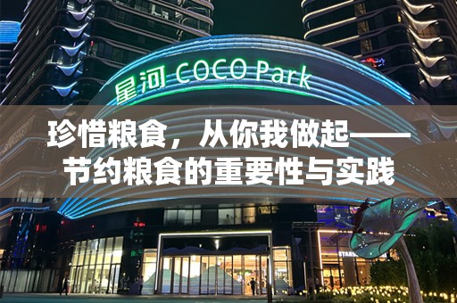 珍惜粮食，从你我做起——节约粮食的重要性与实践