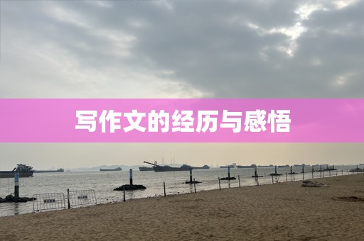 写作文的经历与感悟