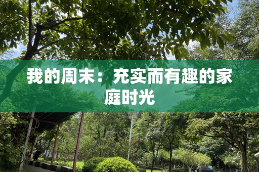 我的周末：充实而有趣的家庭时光