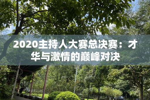 2020主持人大赛总决赛：才华与激情的巅峰对决