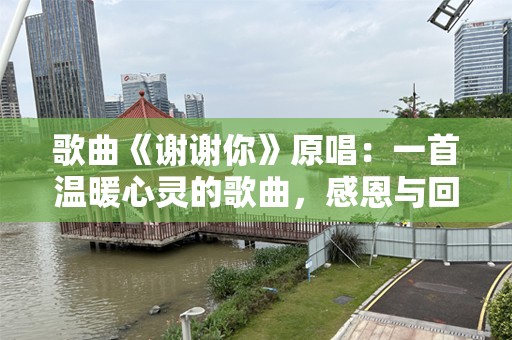 歌曲《谢谢你》原唱：一首温暖心灵的歌曲，感恩与回忆的旋律