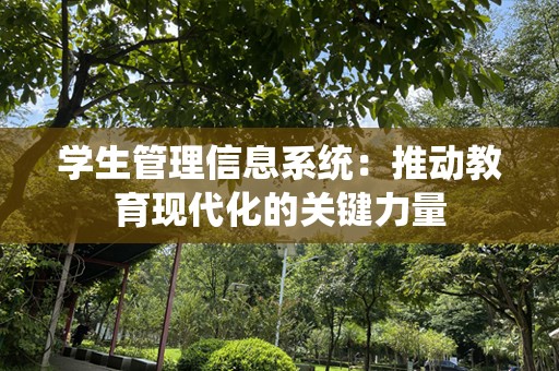 学生管理信息系统：推动教育现代化的关键力量