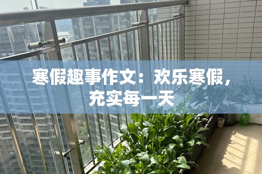 寒假趣事作文：欢乐寒假，充实每一天
