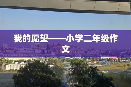 我的愿望——小学二年级作文