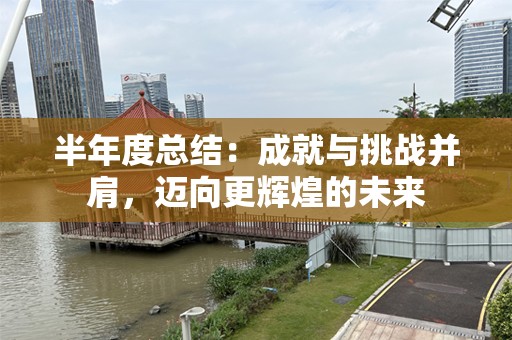 半年度总结：成就与挑战并肩，迈向更辉煌的未来