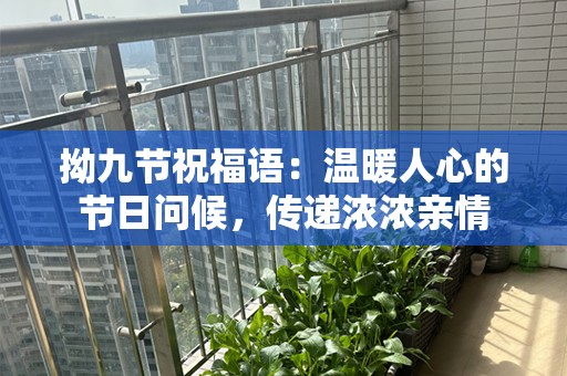 拗九节祝福语：温暖人心的节日问候，传递浓浓亲情
