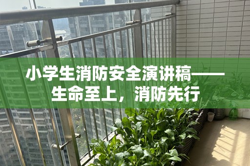 小学生消防安全演讲稿——生命至上，消防先行