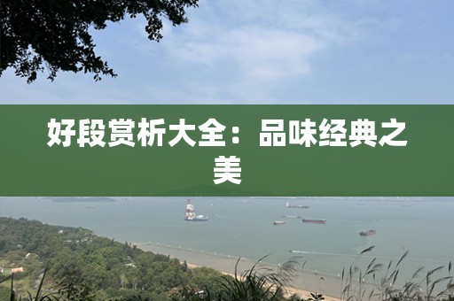 好段赏析大全：品味经典之美