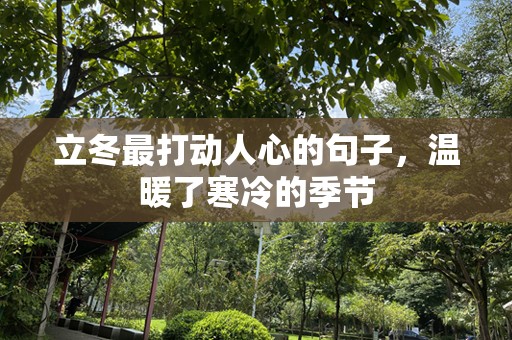 立冬最打动人心的句子，温暖了寒冷的季节