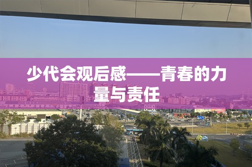 少代会观后感——青春的力量与责任